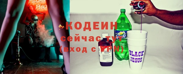 твердый Володарск