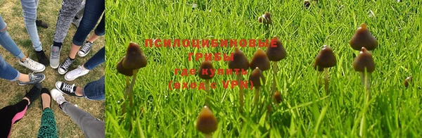 твердый Володарск