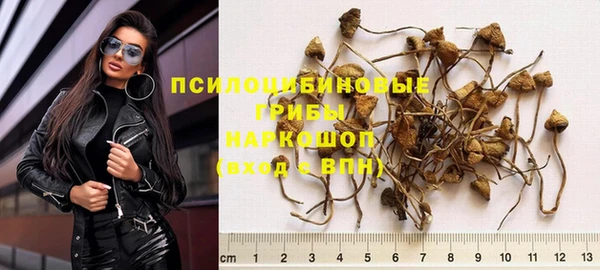 твердый Володарск