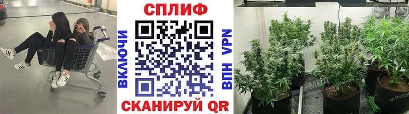 Бошки Шишки THC 21%  как найти закладки  МЕГА ссылка  Новотроицк 
